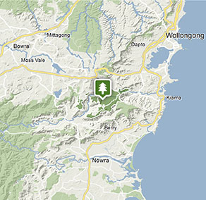 Junior ranger: Minnamurra Rainforest