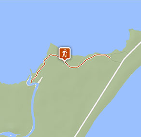 Tamboi walking track