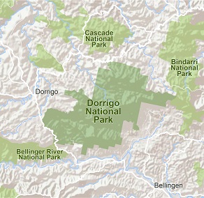 Stage 3 Geography Sensing the rainforest at Dorrigo