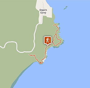 Wilsons Headland walking track