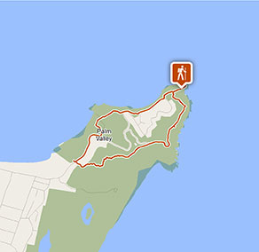 Walgun Cape Byron walking track