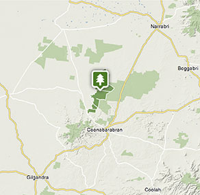 Pilliga rambles tag-along tour