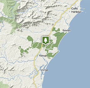 Stage 4 Geography Bush Tucker in Bongil Bongil National Park