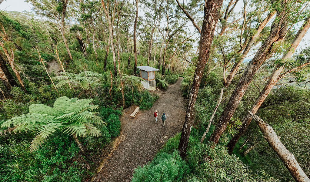 Aerial view of walkers arriving at Yelgun Kyoomgun campground. Credit: Daniel Parsons/DCCEEW © Daniel Parsons