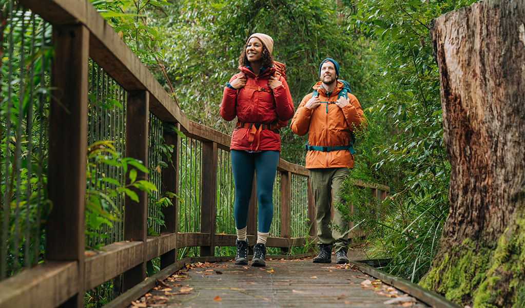 Walking along the boardwalk that leads to Minyon Falls lookout. Credit: Remy Brand/DCCEEW © Remy Brand