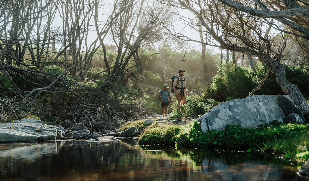 Hikers walking through sheltered coastal forest near Hegartys Bay in Beowa National Park. Credit: Remy Brand/DCCEEW © Remy Brand