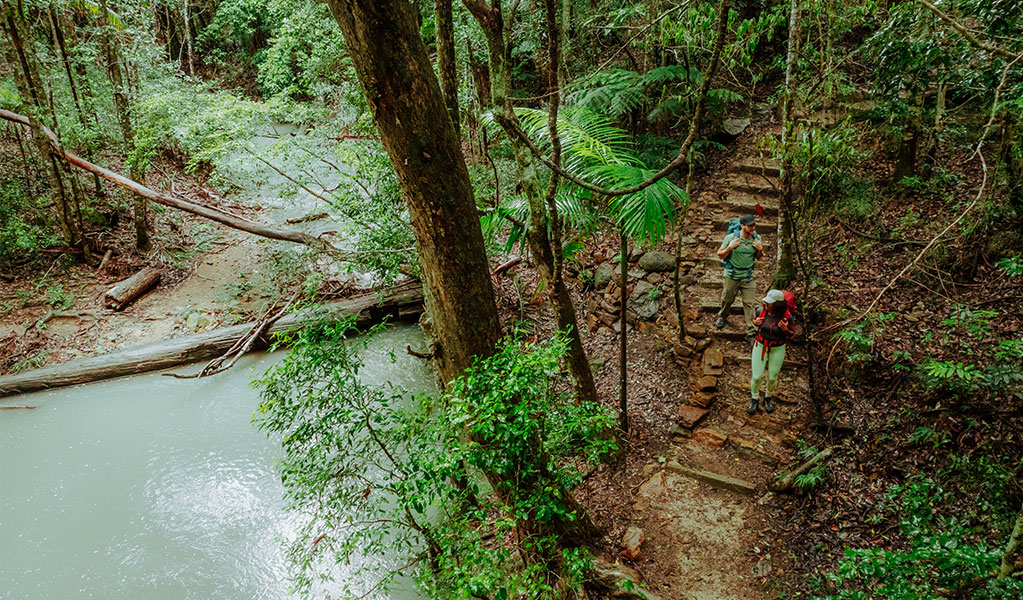 Unicorn Falls walking track in Mount Jerusalem National Park. Credit: Daniel Parsons/DCCEEW © Daniel Parsons