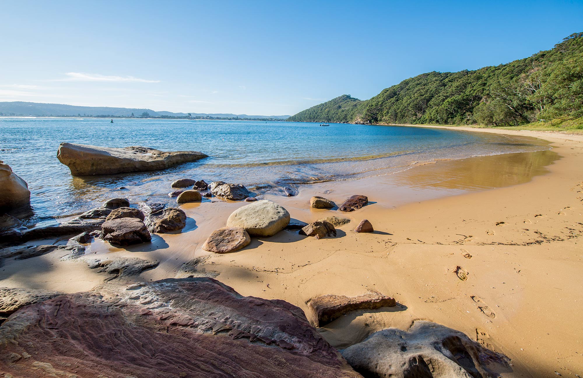 Image result for bouddi national park