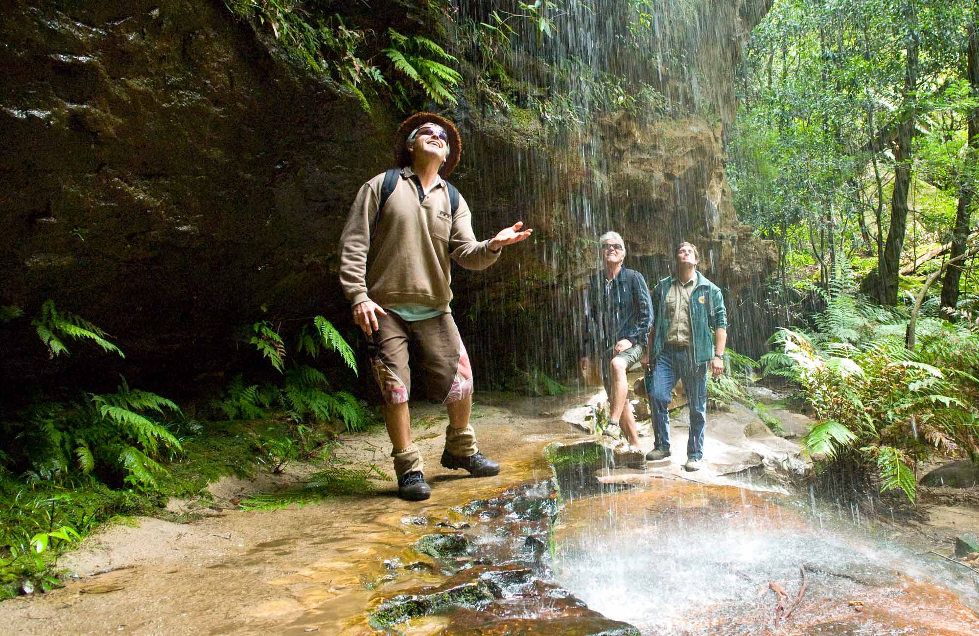 bushwalks blue mountains