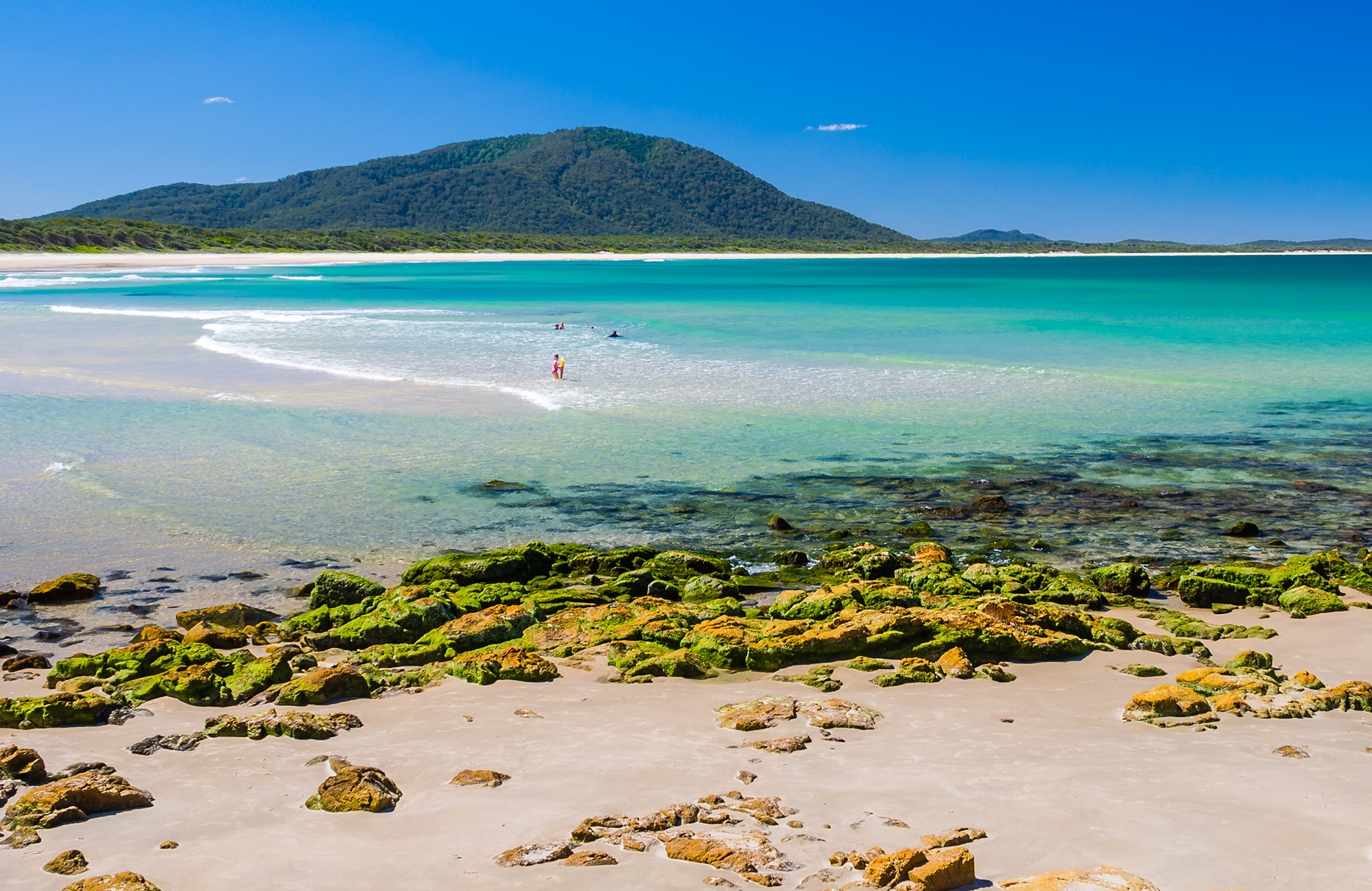 Best North Coast NSW getaways NSW National Parks