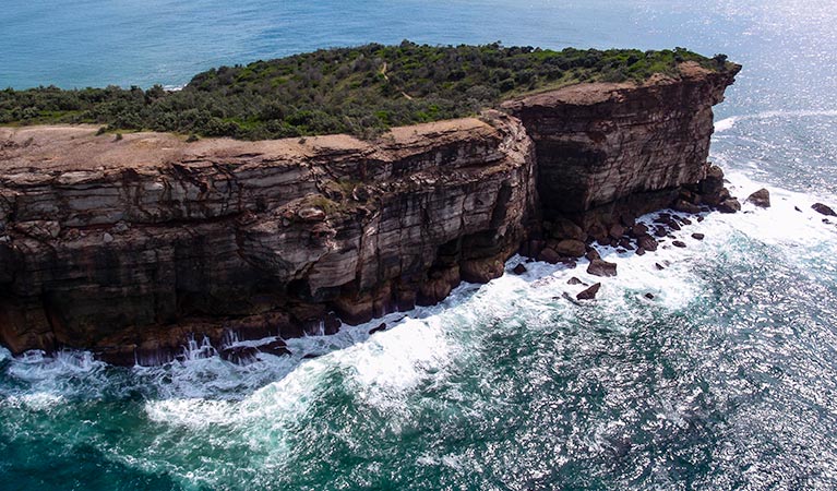 Kattang Nature Reserve. Photo: NSW Government