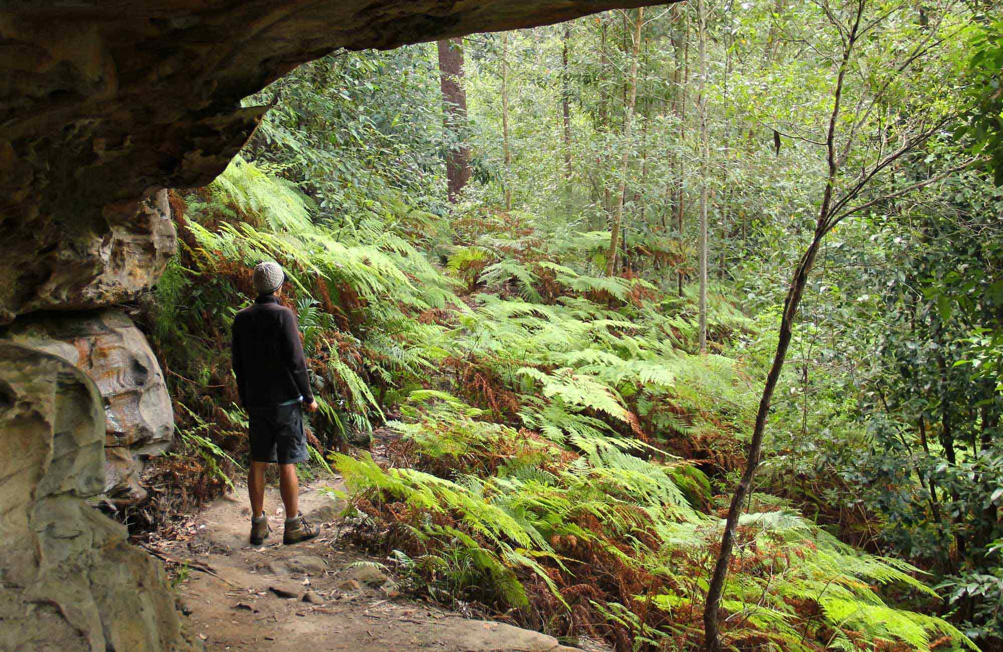 How to start a business in nsw