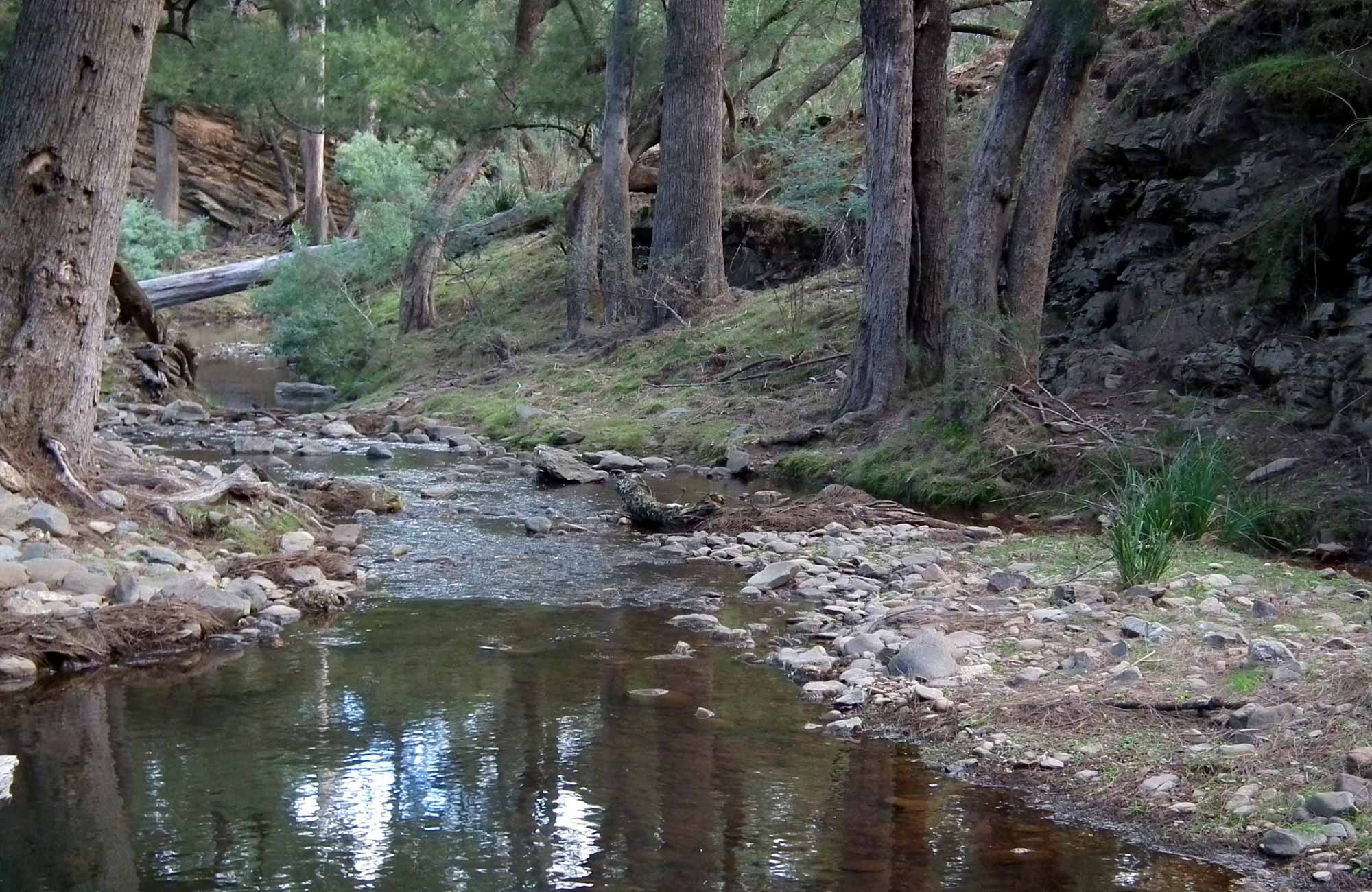 Bummaroo ford camping ground #6